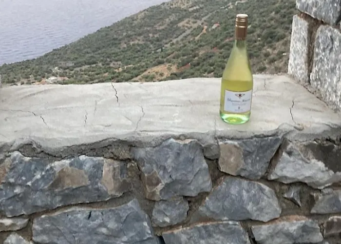 Shiro - Traditional Stone * Argilia